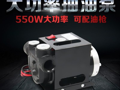 柴油抽油泵大流量自吸抽油机电动抽油泵加油直流电油泵550w12v24v图2
