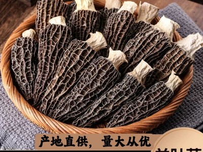 云南特产精选农家干货羊肚菌批发代发头茬厚肉羊肚菌干货图3