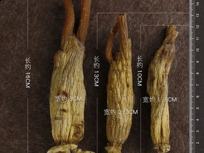 高丽参 高丽参 人参批发 传统滋补品 中老年人滋补品批发图4