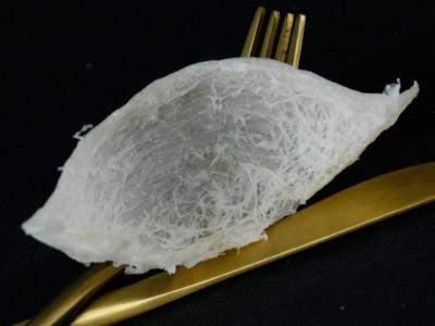 半干挑圆盏 白燕盏 色泽白囊丝足 无漂白 印尼即食燕窝批发代发图3