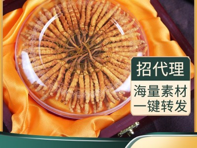 1根虫草代发 现货青海西藏高海拔那曲冬虫夏草批发一件代发图3