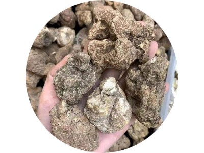 燕鸣堂虎乳菌颗粒多规格马来西亚虎奶菌批发虎乳菇虎灵芝渠道货源图4