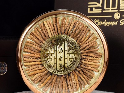 藏区冬虫夏草礼盒套装 网红小虫草100条/盒无断草足干虫草批发图4