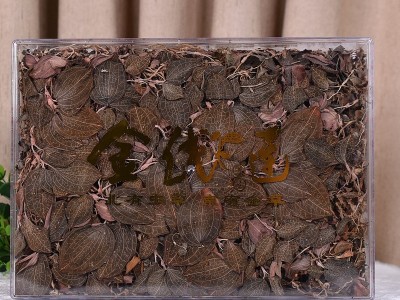 整株大叶红霞金线莲干品 新品烹调金线莲 煲汤材料500克金线莲图3