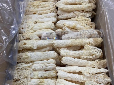 贵州竹笙 织金竹笋长裙厚肉食用菌菇 煲汤火锅食材 厂家直批图3