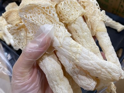 贵州竹笙 织金竹笋长裙厚肉食用菌菇 煲汤火锅食材 厂家直批图2