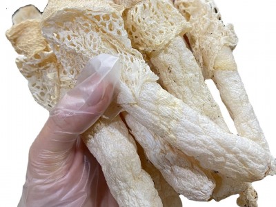 贵州竹笙 织金竹笋长裙厚肉食用菌菇 煲汤火锅食材 厂家直批图5