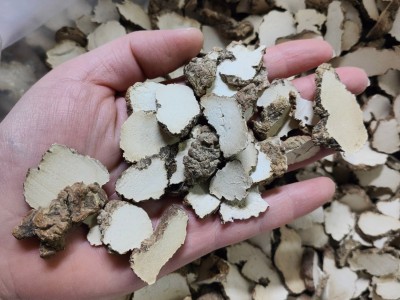 干货虎奶菌虎乳菌整粒切片真空包装250g 180g可一件代发图3