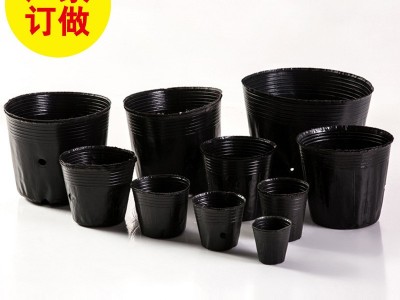 厂家批发塑料营养钵 防老化营养钵 加厚营养杯育苗杯 营养杯图1