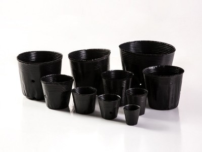 厂家批发塑料营养钵 防老化营养钵 加厚营养杯育苗杯 营养杯图3