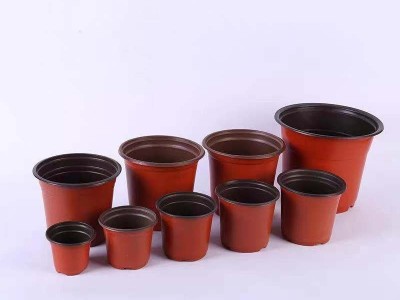 厂家批发绿植园艺用品基地育苗圃花盆圆形塑料pp花场植物花盆容器图3