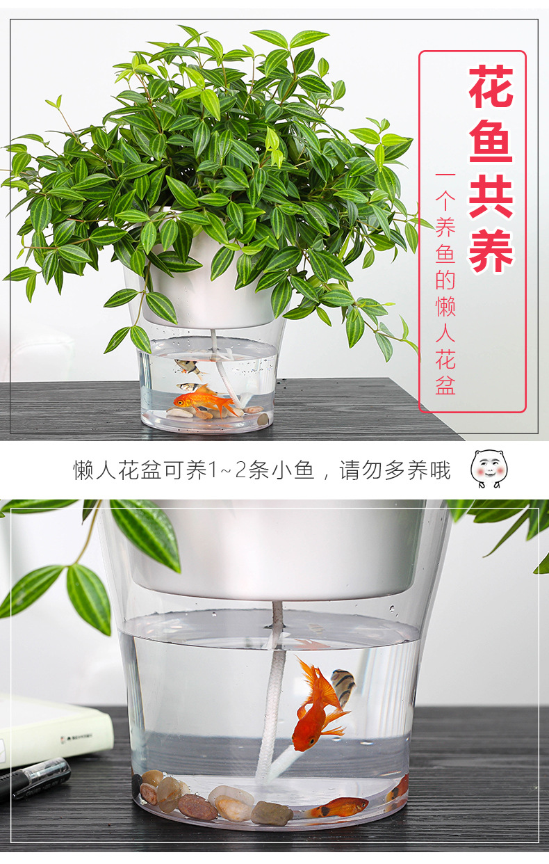 补图_01
