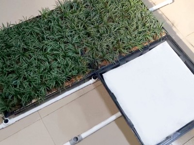 定制屋顶绿化植草箱 绿化工程家庭园艺阳台菜园楼顶隔热散热种植图2