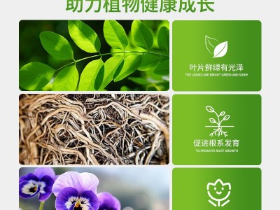 花大壮硫酸亚铁花肥酸性家用通用型水溶肥发财树氮磷钾叶面肥批发图3