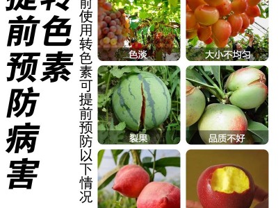 涵物二氢茉莉酸丙酯PDJ提高植物果皮韧性促进糖分积累增甜转色素图3