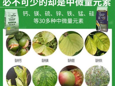 中微量元素水溶肥钙镁硫硼冲施肥果树蔬菜花卉多用有机肥厂家直销图2