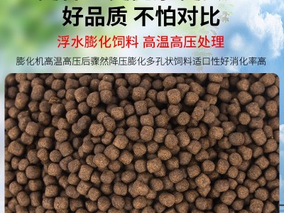 通威加州鲈鱼膨化高蛋白浓腥味鱼苗开口料长得快大口黑花鲈鱼饲料图2