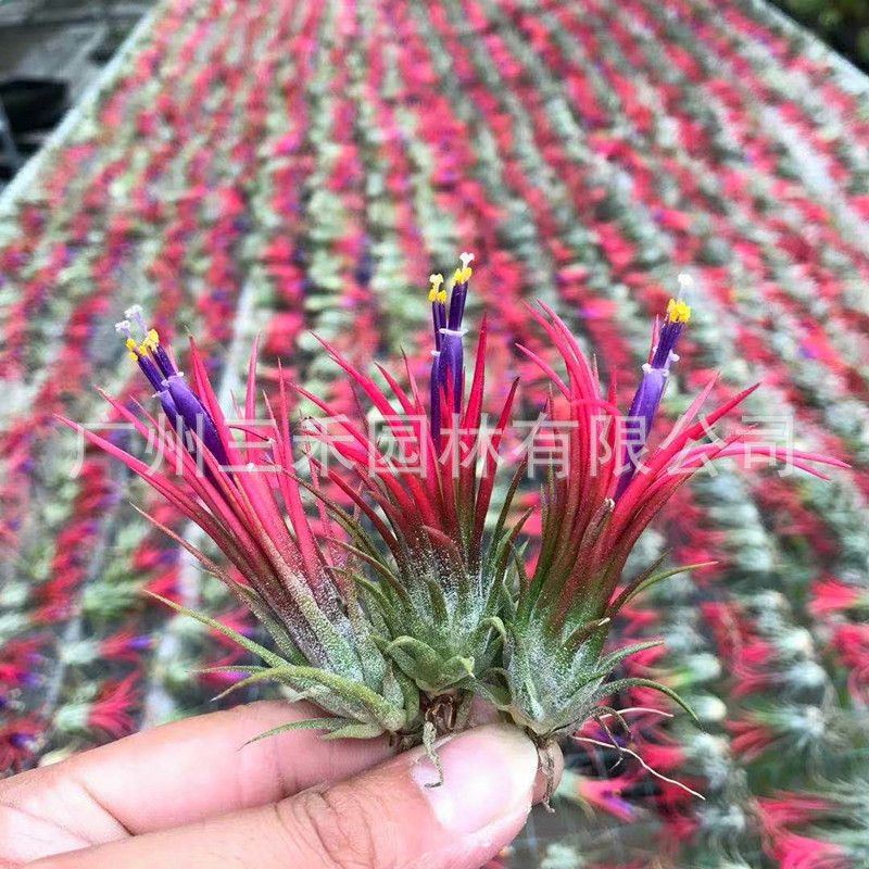 微信图片_20191024084902_副本.jpg