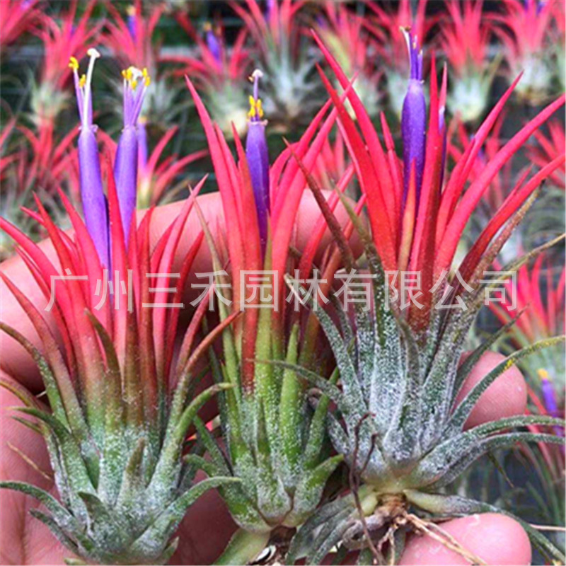 微信图片_20191024084857_副本.jpg