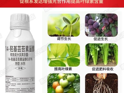 14-羟基芸苔素甾醇 天然芸苔素内酯保花保果解药害植物生长调节剂图3