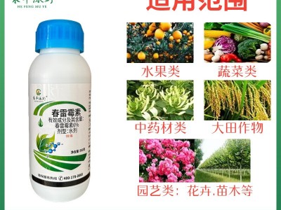6%春雷霉素水稻稻瘟病角斑病软腐病春雷雷霉素春蕾霉素农 药杀菌图4