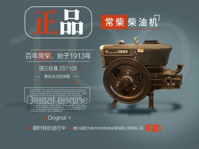 国三标准 常州常柴牌柴油机ZS1105（18马力) 手启动单缸柴油机图3