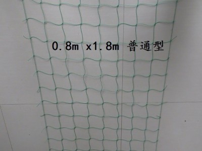 家用 园艺网 植物爬藤网 花卉网 普通型 1.8m*1.8m 320D/27股图4
