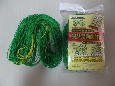 家用 园艺网 植物爬藤网 花卉网 普通型 1.8m*1.8m 320D/27股图2
