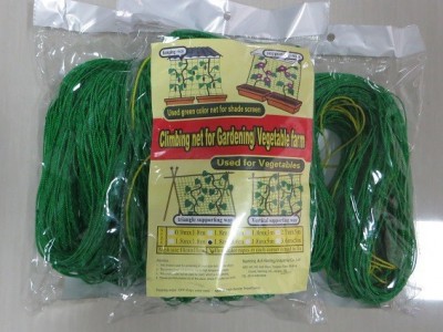 家用 园艺网 植物爬藤网 花卉网 普通型 1.8m*1.8m 320D/27股图3