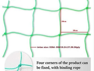 植物爬藤网 园艺网 花卉网 普通型 320D/27股 1.8m*0.9m图2