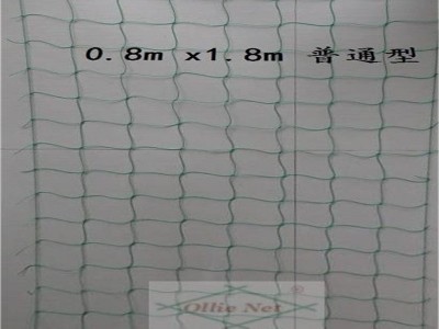 植物爬藤网 园艺网 花卉网 普通型 320D/27股 1.8m*0.9m图3