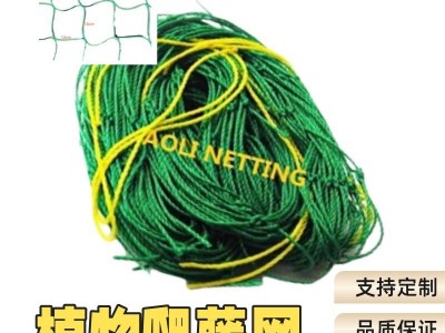 植物爬藤网 花卉种植网 家用园艺网 普通型320D/27股 1.8m*1.8m图5