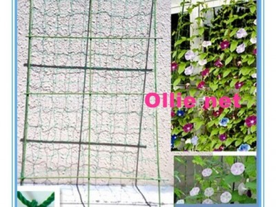 植物爬藤网 花卉种植网 家用园艺网 普通型320D/27股 1.8m*1.8m图4