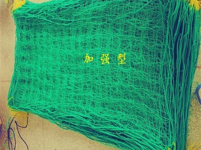 植物爬藤网 花卉种植网 家用园艺网 普通型320D/27股 1.8m*1.8m图3