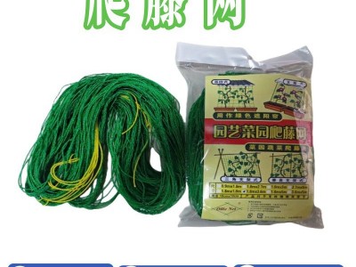 植物爬藤网 花卉网 家用园艺网 加强型 1.8mx1.8m图2