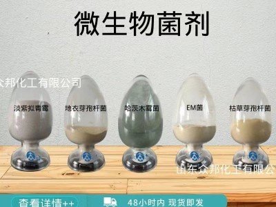 哈茨木霉菌粉微生物菌剂农业用喷施预防根腐病全水溶肥哈茨木霉菌图2