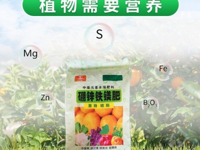 厂家批发中微量元素水溶肥 果树蔬菜硼锌铁镁肥 中量叶面 肥肥料图2