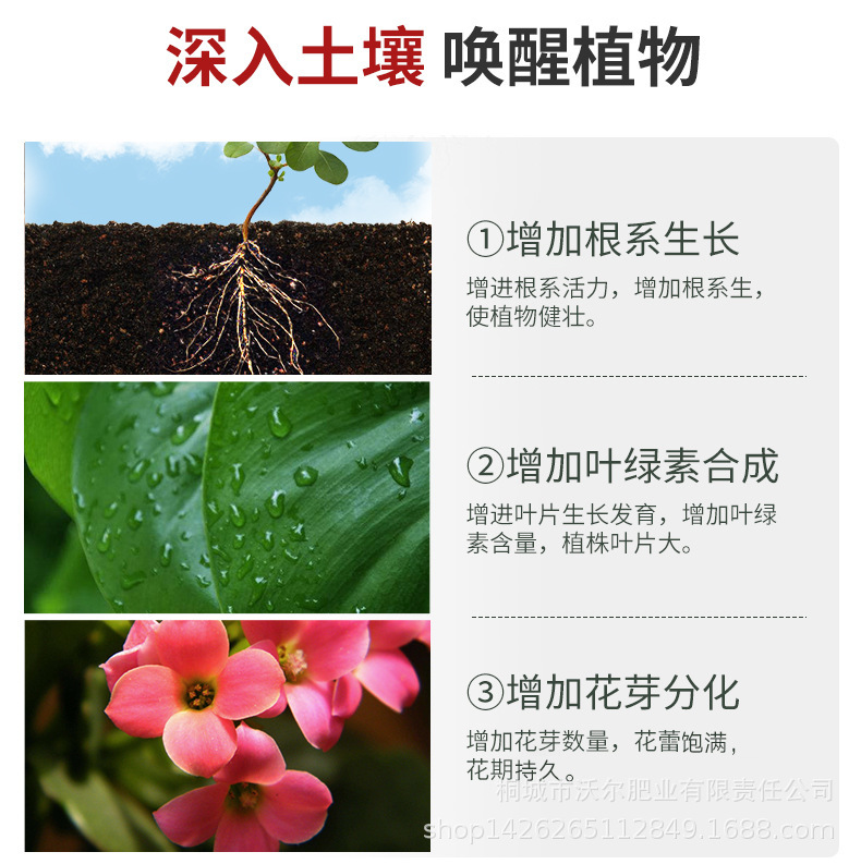 详情页-2.jpg