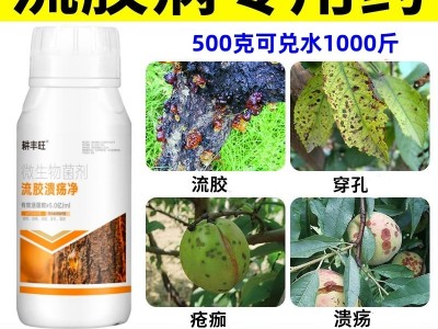 流胶病专用药果树柑橘杏树李子樱桃树流胶一喷净疮痂病穿孔葵阳病图3