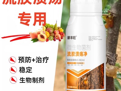 流胶病专用药果树柑橘杏树李子樱桃树流胶一喷净疮痂病穿孔葵阳病图4