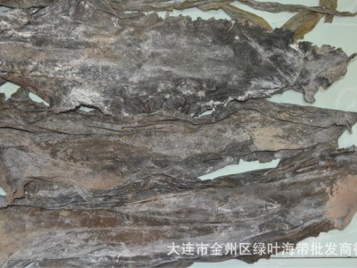 厂家供应 大连淡干海带 淡干海带板 昆布 地摊直播海带板图4