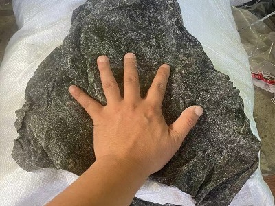 盐渍半干海带头批发地摊海带头展销会产品50斤一件肉厚盐渍海带头图3