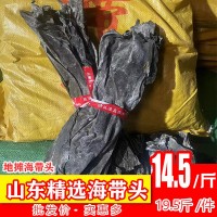 山东精选海带头干货肉厚展销会海带头特厚海带头晒干海带头批发