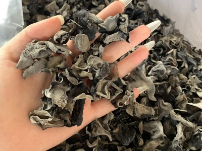 今年新货木耳干货散装东北黑木耳批发货源食用农产品秋木耳500g图4