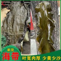 干海带皮批发地摊2024新货散装海带干货晒干少沙叶宽 整条海带丝