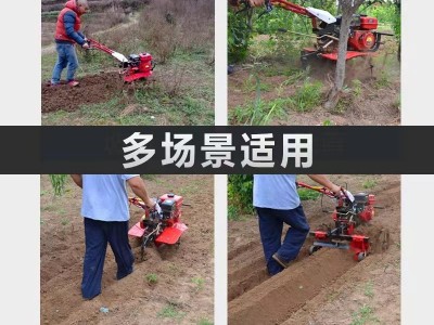 批发多功能汽油微耕机 小型两驱旋耕机 农用开沟起垄犁地除草神器图2