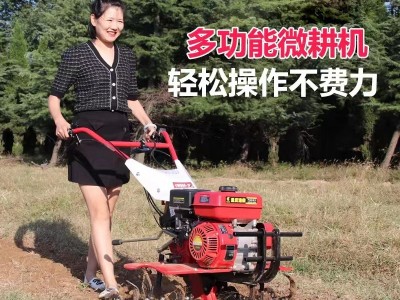 批发多功能汽油微耕机 小型两驱旋耕机 农用开沟起垄犁地除草神器图3