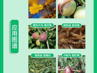 海藻鱼蛋白水溶肥冲施肥生根壮苗果树蔬菜农用高钙高钾桶装冲施肥图2