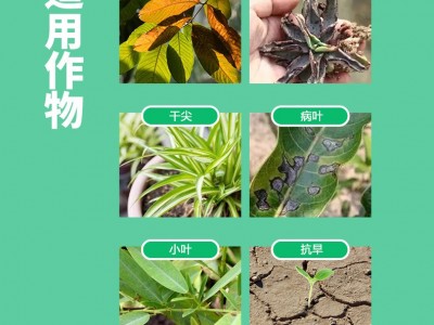 海藻鱼蛋白水溶肥冲施肥生根壮苗果树蔬菜农用高钙高钾桶装冲施肥图4