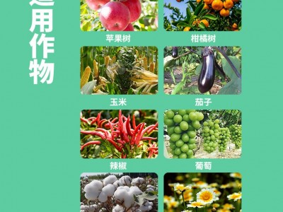 水溶肥冲施肥桶装包邮高钾高钙农用生根壮苗膨果肥甲壳素海藻精钾图3